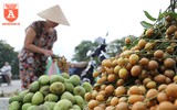 [ẢNH] Xem người Hà Nội đi chợ ăn Tết 